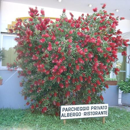 Hotel Filiberto Rimini Exterior foto