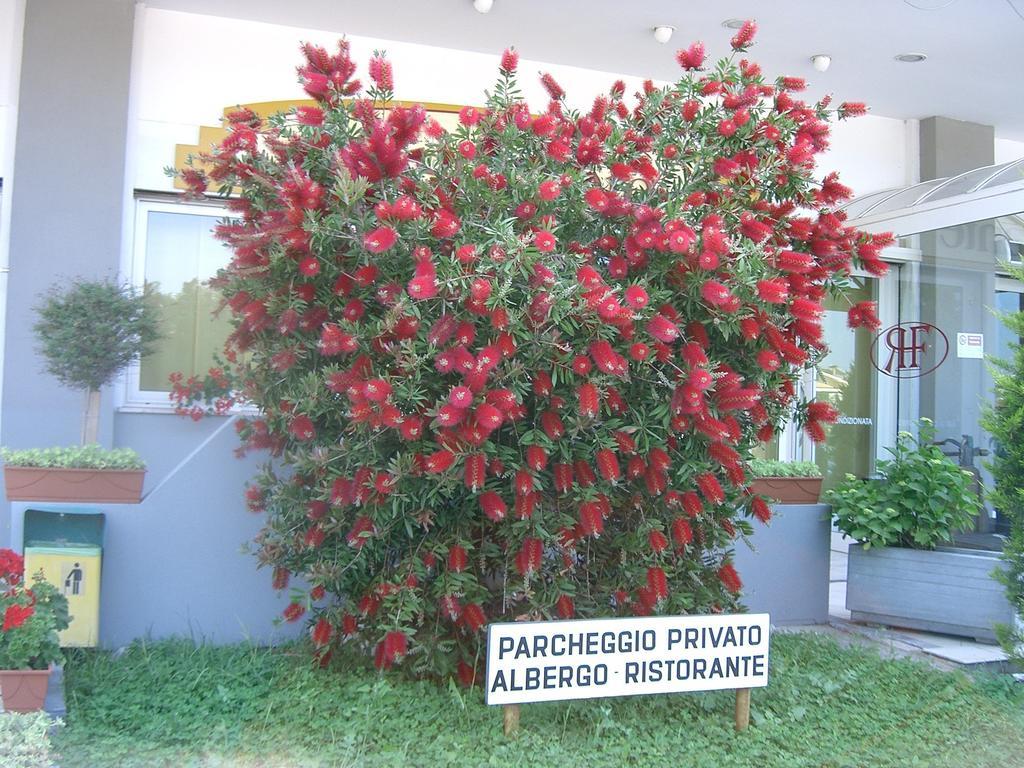 Hotel Filiberto Rimini Exterior foto